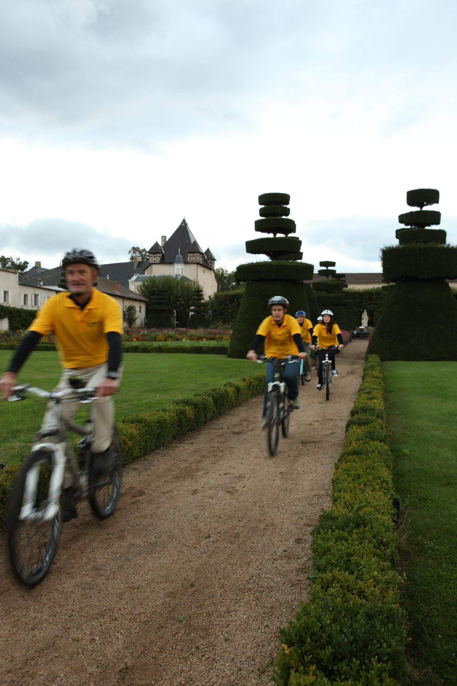 Vélos - Activités en Bourgogne - Château de Pizay